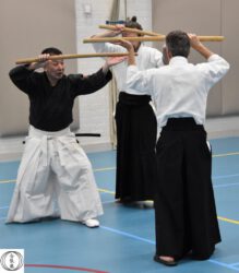 DSC_0969 DSC_0969