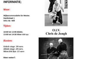 affiche chris de jongh